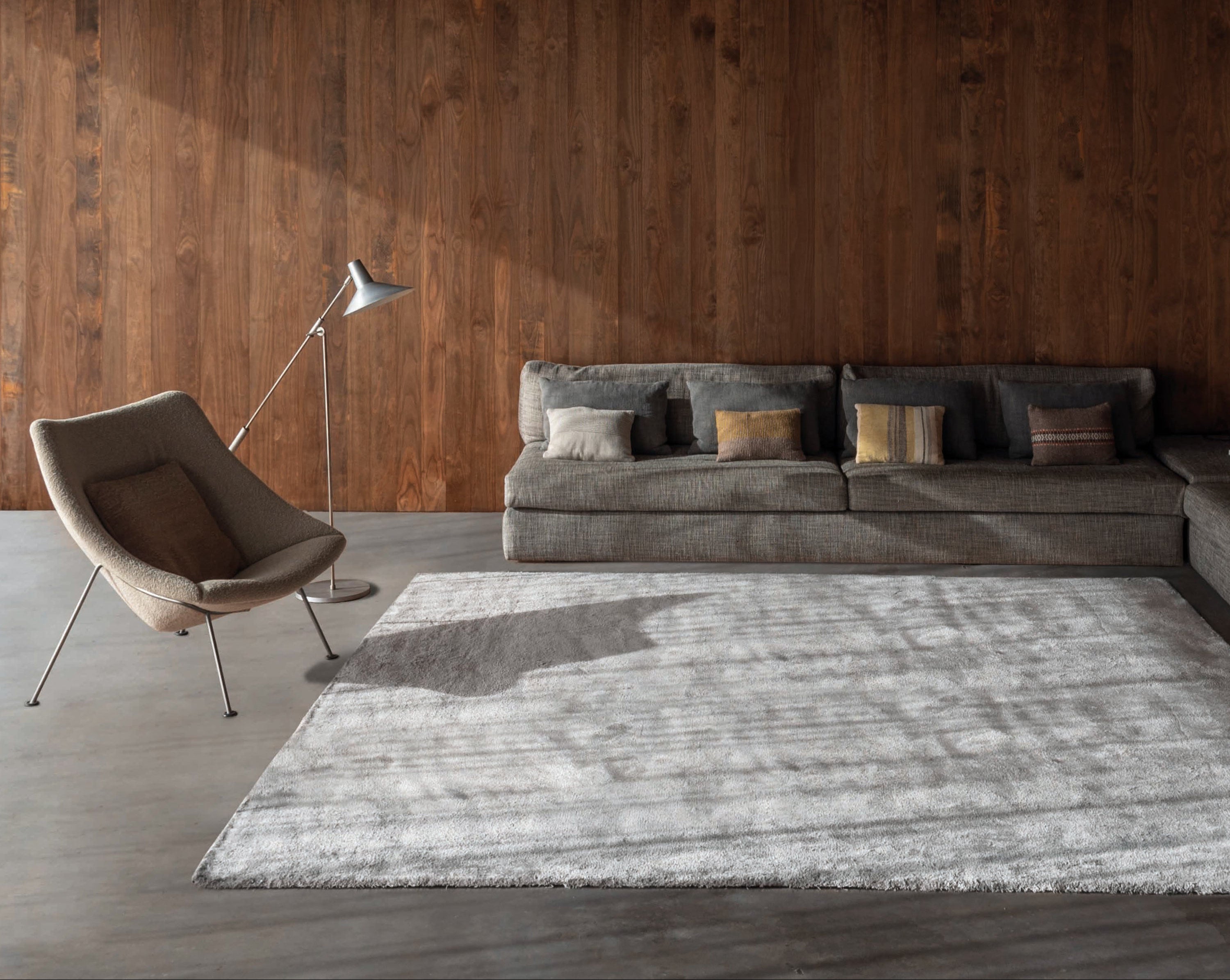 Cozy area rug made from 100% Tencel with velvety soft surface, anti-slip backing, and available in silver, beige, and dark grey tones